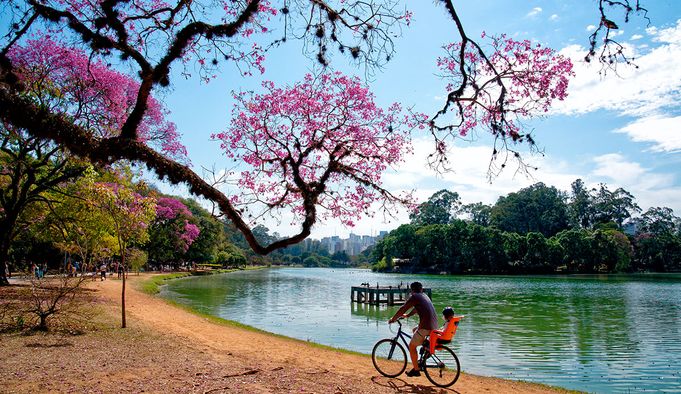 Parque Ibirapuera
