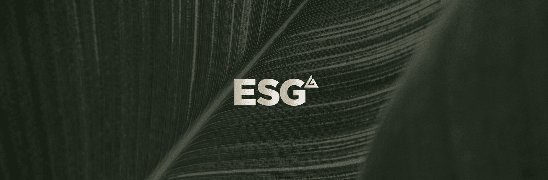 Banner ESG